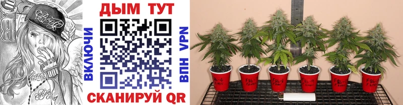 Купить наркотики сайты Лангепас Alpha-PVP Cocaine МЕФ Каннабис